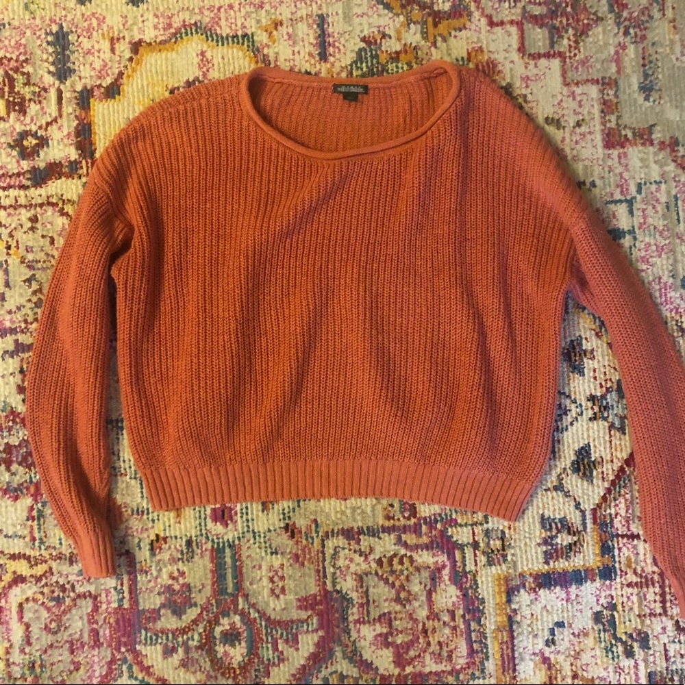 Wild Fable Coral Knit Cropped Crewneck Sweater